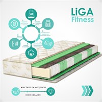 Матрац FITNESS LIGA (ЛИГА) мебель от производителя Брянск